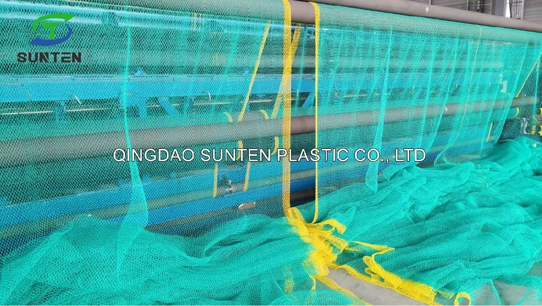 High Strength Black Color PP/Polypropylene/PE Knotless Trailer Cargo Netting, Container Netting, Volleyball Net, Safety Catch Net with Enforced Webbing
