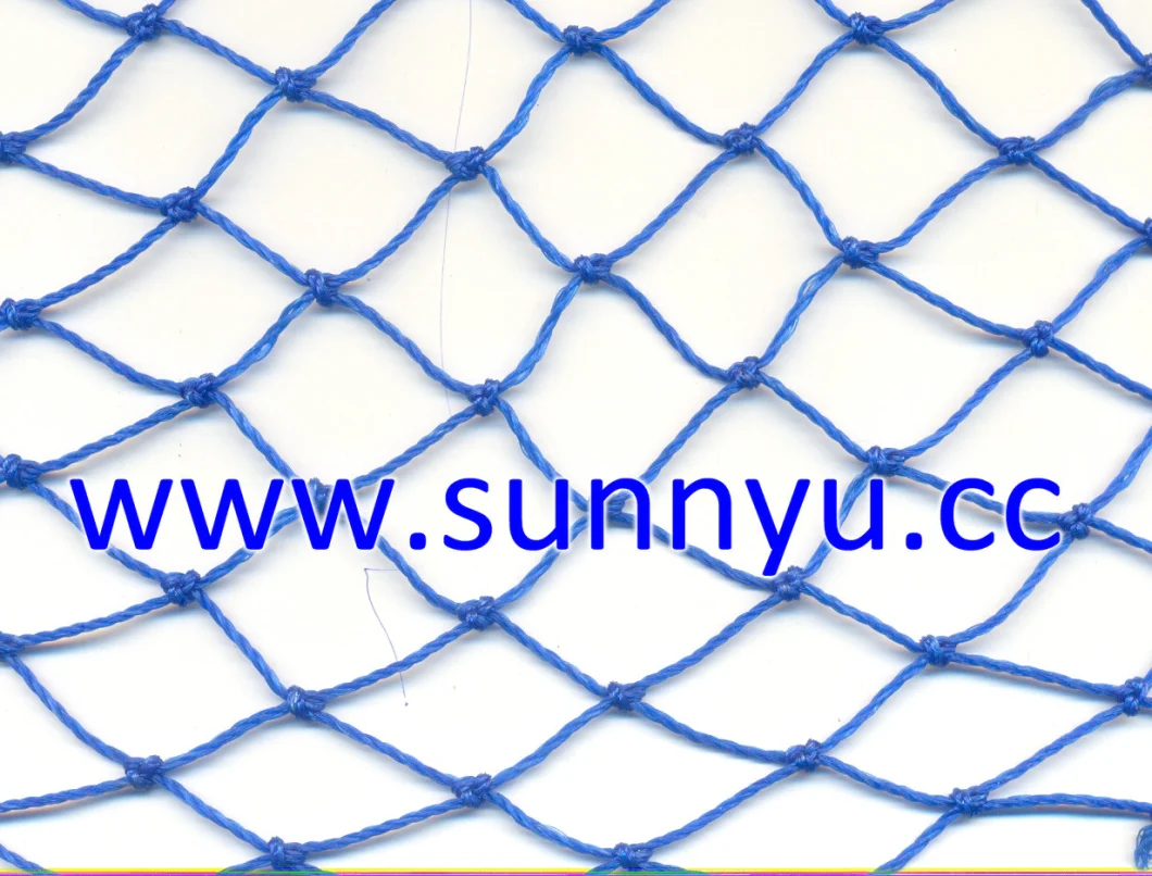 Blue PE Net/Fishing Net Cargo Net, Nylon Net