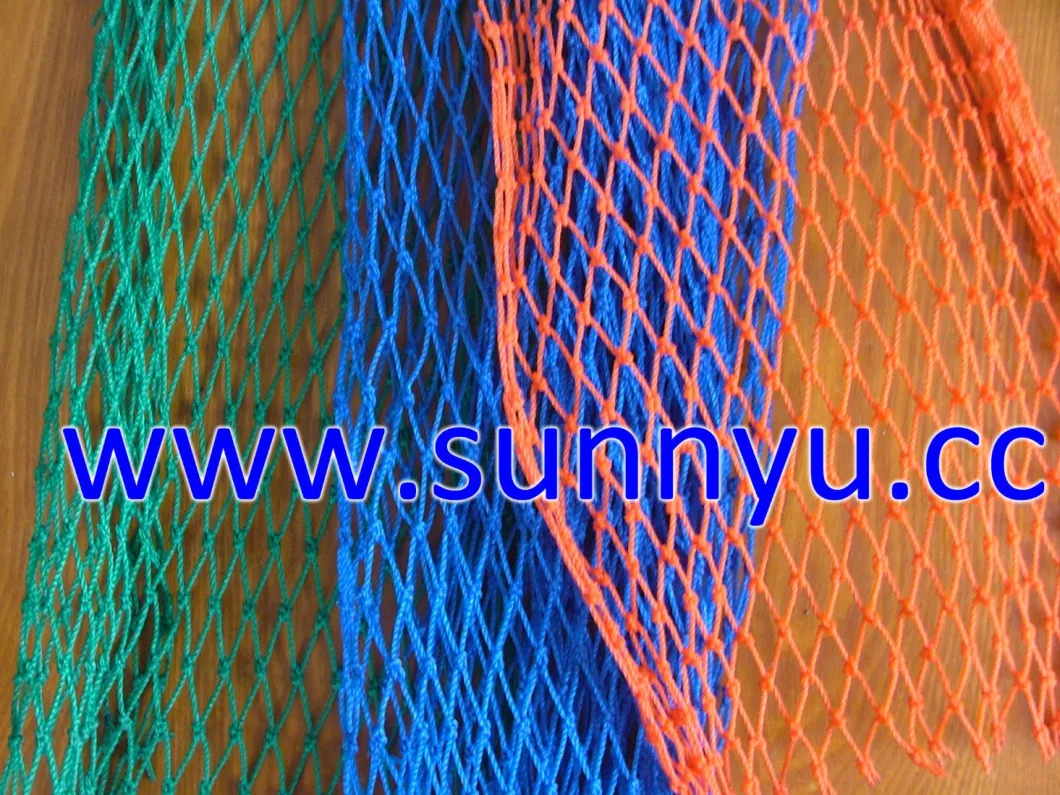 Blue PE Net/Fishing Net Cargo Net, Nylon Net